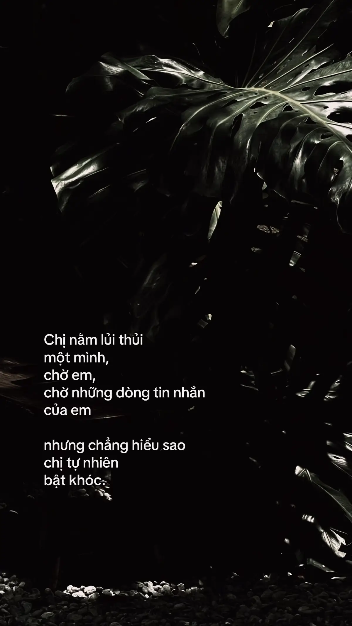 #xuhuongtiktok#tinhyeu#tamtrang#foryou#story 