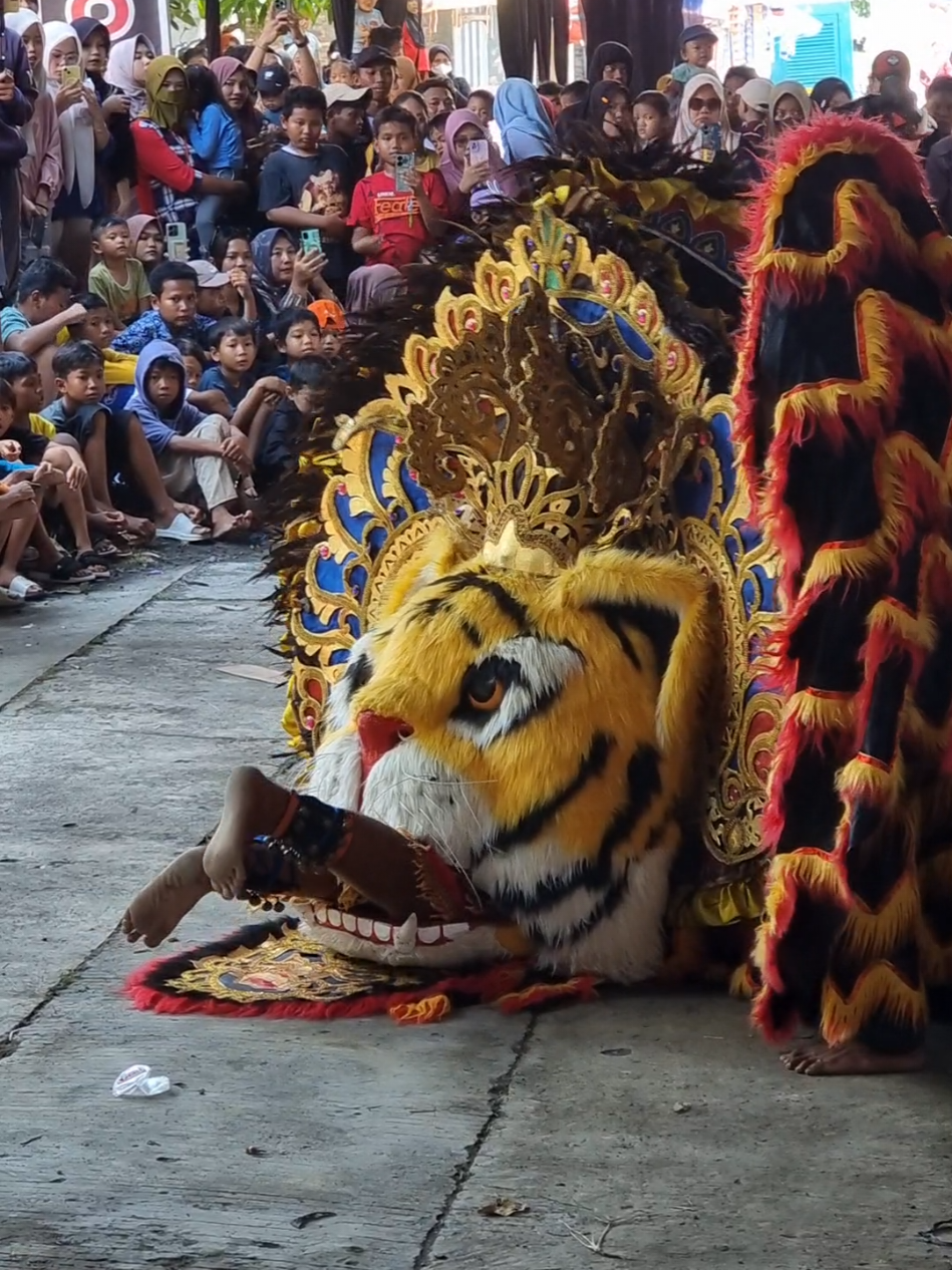 Barongan Kusumojoyo Terbaru Mojo Demak #barongandemak #barongangalak #baronganngamuk #barongancaplok #baronganmakanorang 