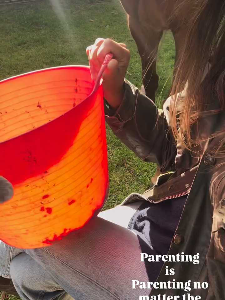 Rhona Mitra at home in Uruguay #RhonaMitra #wildlife #horse #dog on her account @thelastarkorphanage (instagram) story_12_10_2025