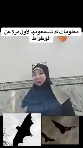 #VoiceEffects #محمد_رسول_الله  #islamic_video #الشيخ_جميل_حليم_الحسيني #viral_video  @Hanan El Moghrabi.1 