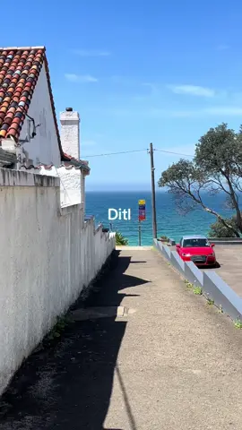 tough day in the #office #ditl #Vlog #sydney 