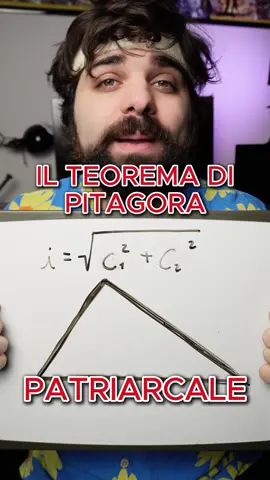 E se vi dicessi che la geometria è patriarcale? Che lo  stesso teorema di Pitagora è simbolo del maschilismo? 📐  Penso di aver trovato il momento storico/filosofico in cui nacque l’idea della società patriarcale, e il colpevole in questione è (il collettivo) Pitagora 🫶 #femminismo #filosofia #patriarcato #pensierocritico #geometria  