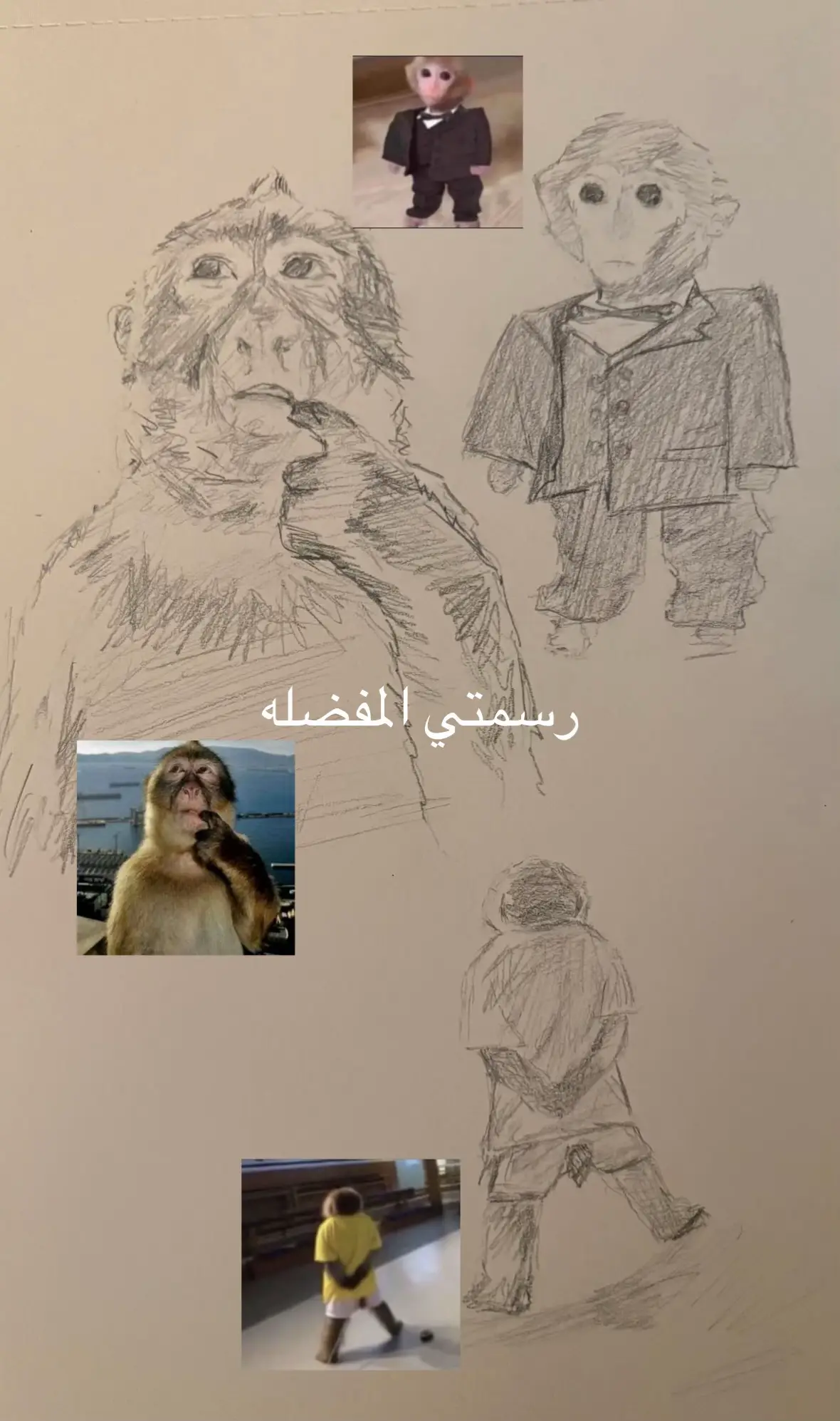 للبيع ب58769$ #fyp #fyppppppppppppppppppppppp #foryou #art #monkeys 