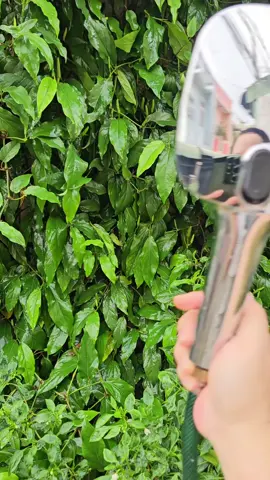 Vòi sen tăng áp cao cấp Deerma #deermavietnam #deermapremium #deermadaily #HS01 #coemthovuon 