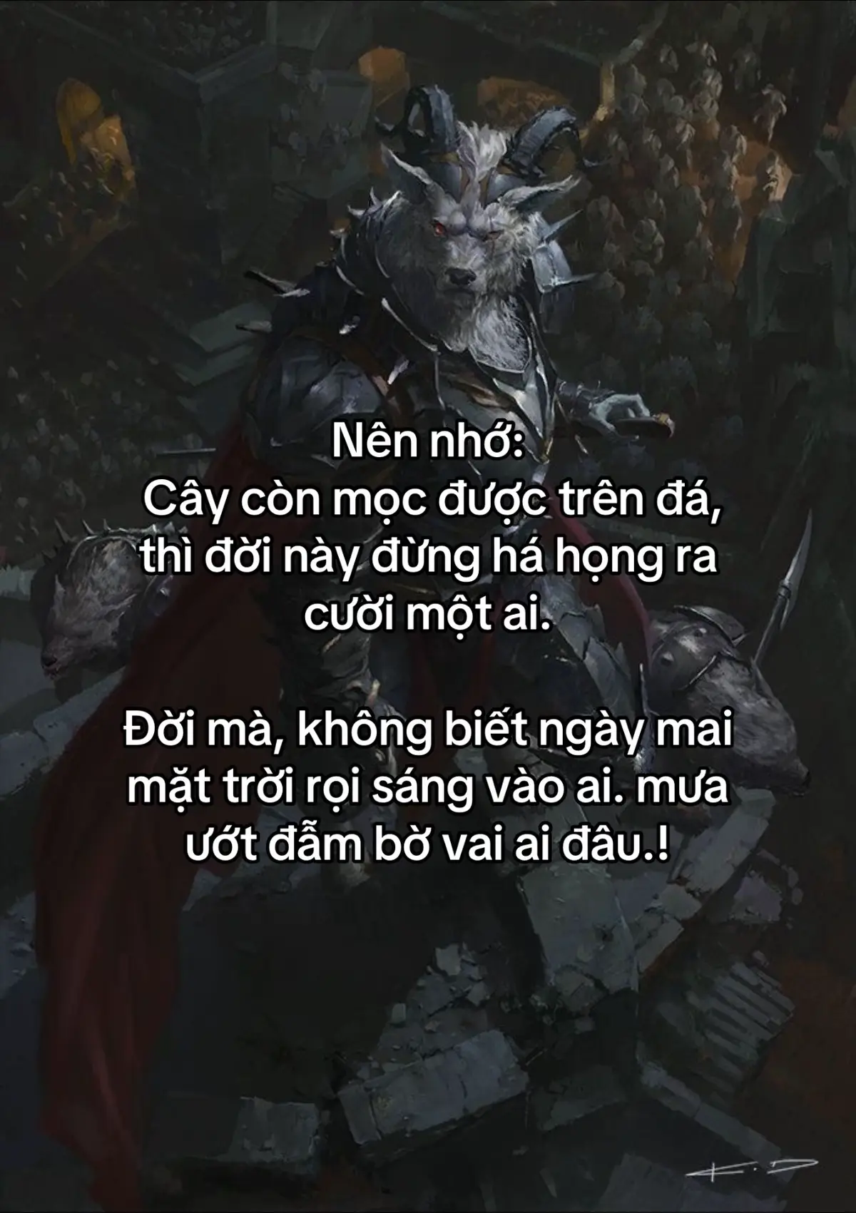 Nên nhớ, cây còn mọc được trên đá, thì đời này đừng há họng ra cười một ai. Đời mà, không biết ngày mai mặt trời rọi sáng vào ai. mưa ướt đẫm bờ vai ai đâu.! #banbe #tenanxahoi😞 #nguoichoico #nguoithongminhlamgi #dochay 