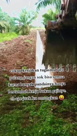 #excavator #thailand 