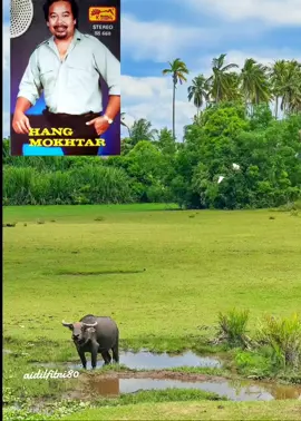 #assalamualaikum #hangmokhtar  #kocikkocikjagokobau  #lagunolstagia🥰  #mgarohnyadicucurirahmatAllah 