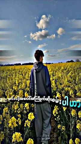 #မင်းအတွက်ဆိုအမြဲအရှုံးပေးထားတယ်#feelကျကွာ🥀🥀 #ကြေကွဲလူငယ်၄ #fyp #foryou #foryoupage #ညတင်ရင်likeမရမှန်းသိပေမယ့်တင်တယ်ကွာ🌚🌚 #likeမရလဲတင်တယ်ကွာ #fppppppppppppppppppp #ရောက်စမ်းfypပေါ်💘💘💘💘💘myanmartiktok #ပြည်တွင်းဖြစ်ကိုအားပေးပါ🇲🇲🇲🇲 