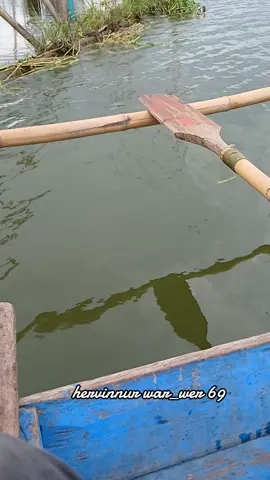 Hasil poin kembali #mancingmania #fishing #ikannila #lumut 