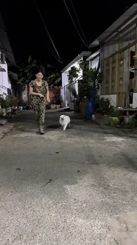 Không phải lợn à nha #xuhuong 