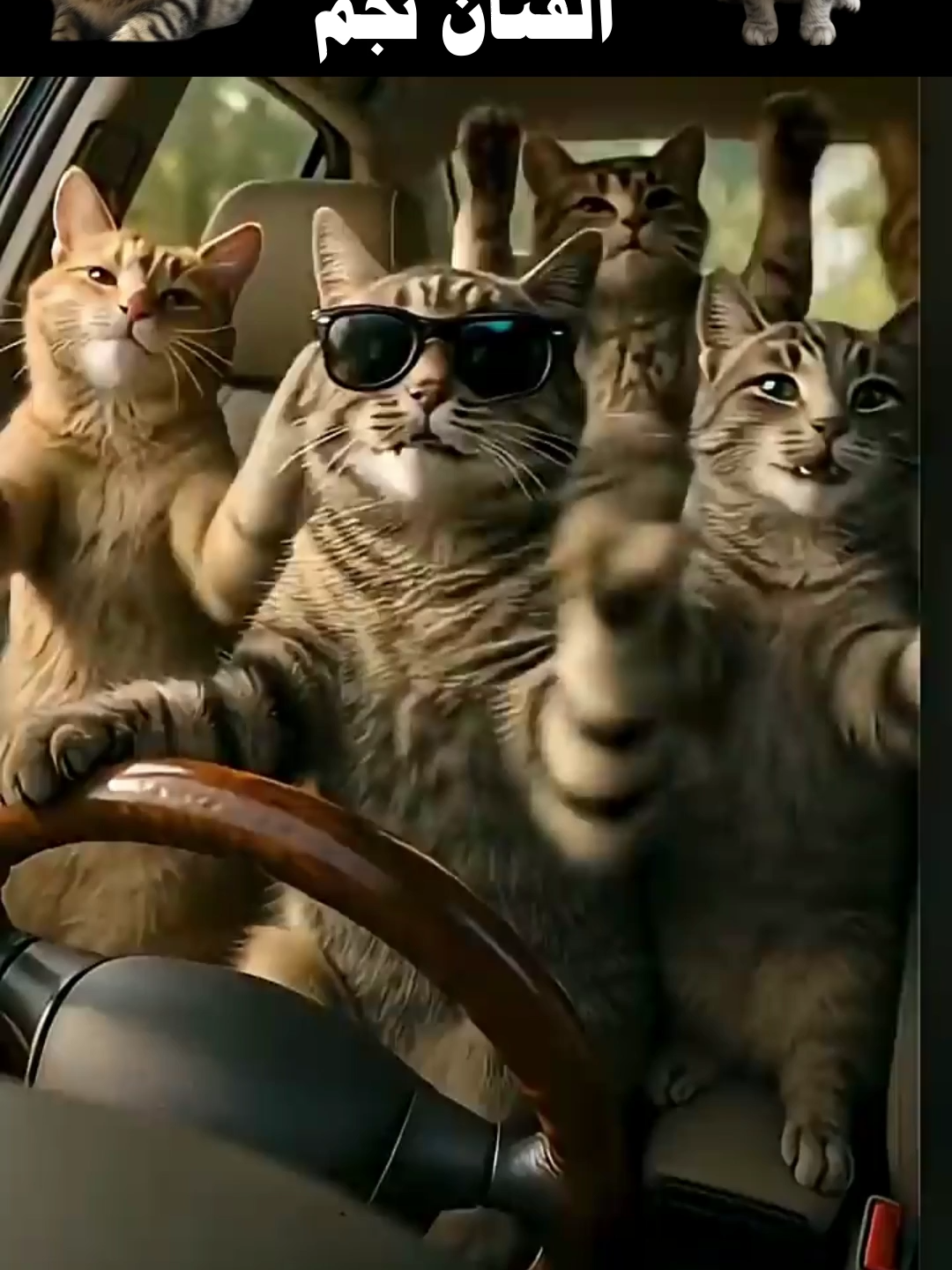 #كنافة #بالمنجا #الفنان #نجم اغنييه كنافة بالمنجا#fyp #foryou#foryoupage #foryoupage❤️❤️#ترند_تيك_توك#نجم##اغاني_رومانسية#viral#trending#trend#اغاني_حب#اغاني_عربية#tiktok_music #Sing_SadSong #اغاني_رومانسية #اغاني_2025 #tiktokmusic #اغاني #التيك_ #توك #SadSong