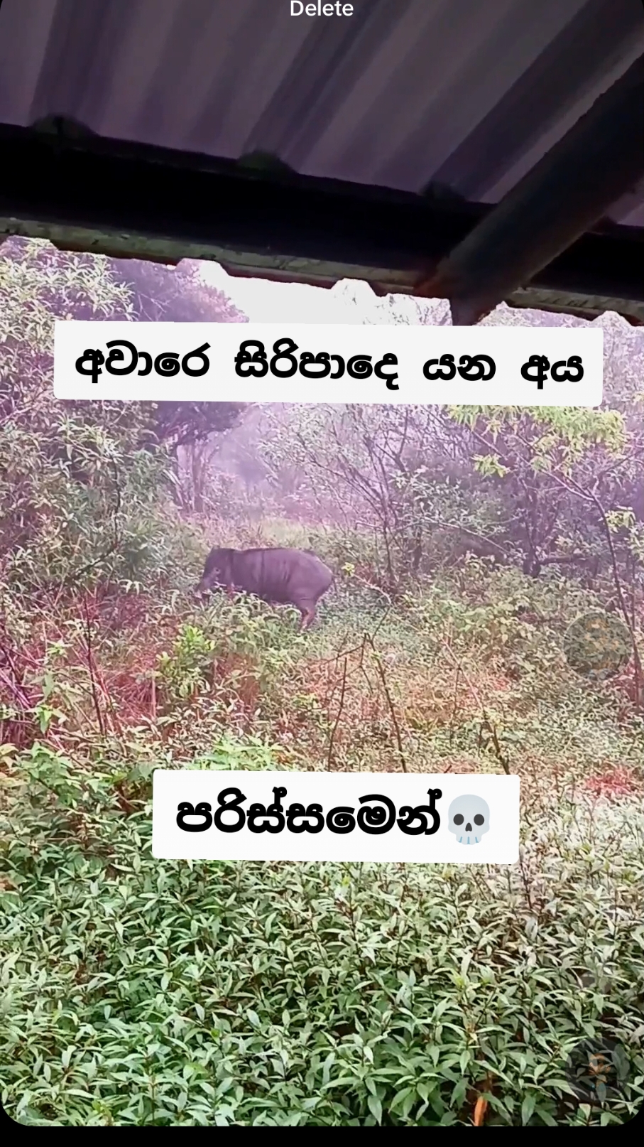 අවාරෙ සිරිපාදෙ යන අය පරිස්සමෙන්.පේනවනෙ දල දෙක💀 #rashexplorer #travelblogger #sripadaya #offseason #