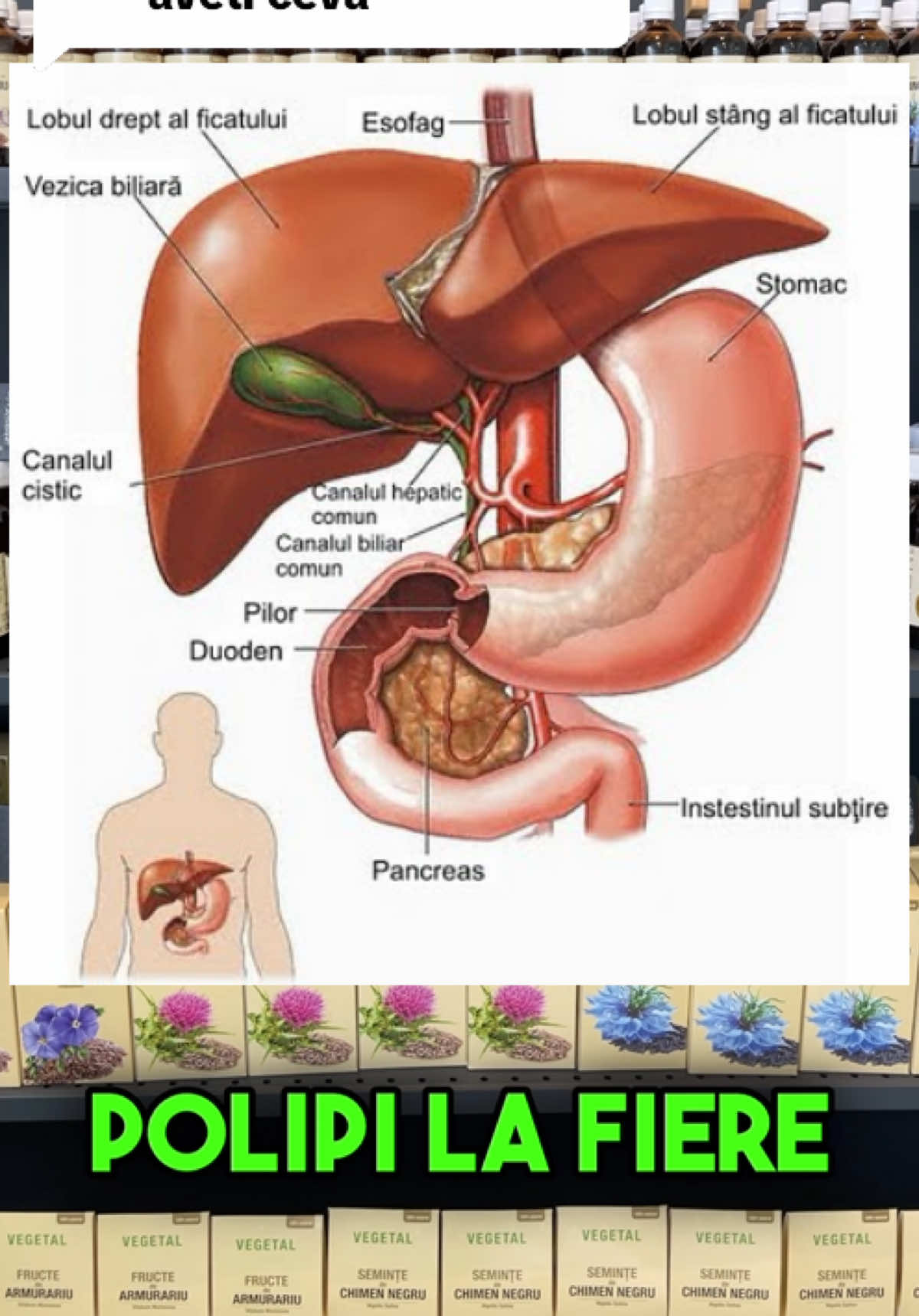 Replying to @. 🌱Remedii Naturale pentru Sănătatea Ficatului și Sistemului Biliar. #ficat #fiere #polipi #detox #uleinatural 