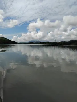 van ly tuong tu van ly sau tim nguoi tri ky biet tim dau