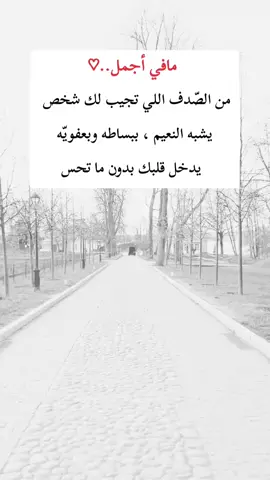 #اكسبلور 