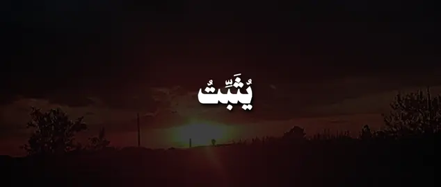 ويفعل الله ما يشاء🤎. . . . . . . . . #mohamed_osama9291 #quran #قران #المنشاوي 