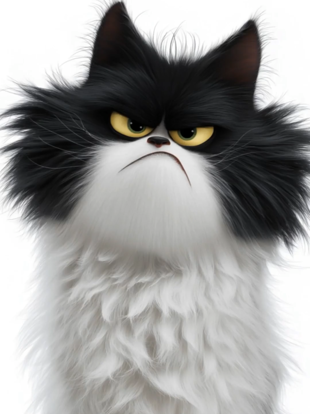 #cat #catwallpaper #livewallpaper #livewallpaper4k #fyp 