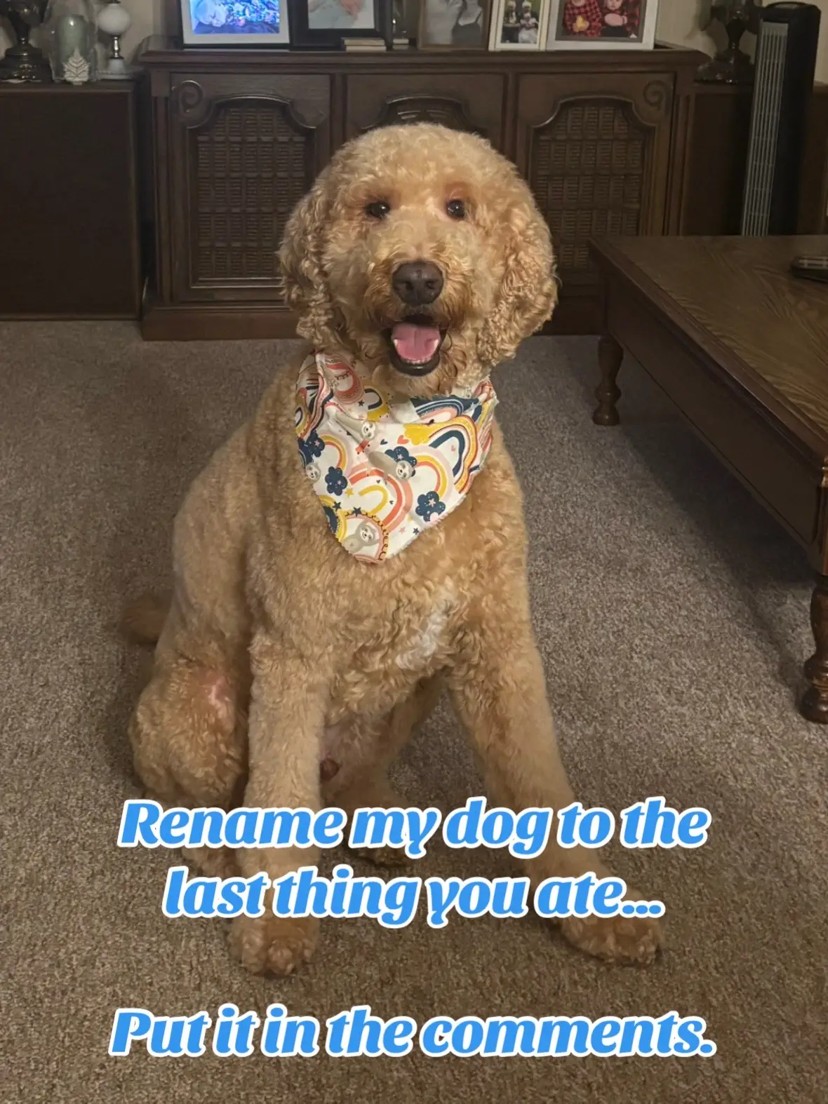 Rename my dog, Banks, to the last thing you ate in the comments. 