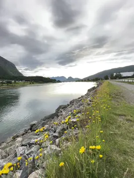 Beautiful Norway🇳🇴🌿#norway #nature #beautiful #tiktoktravel #landscape 