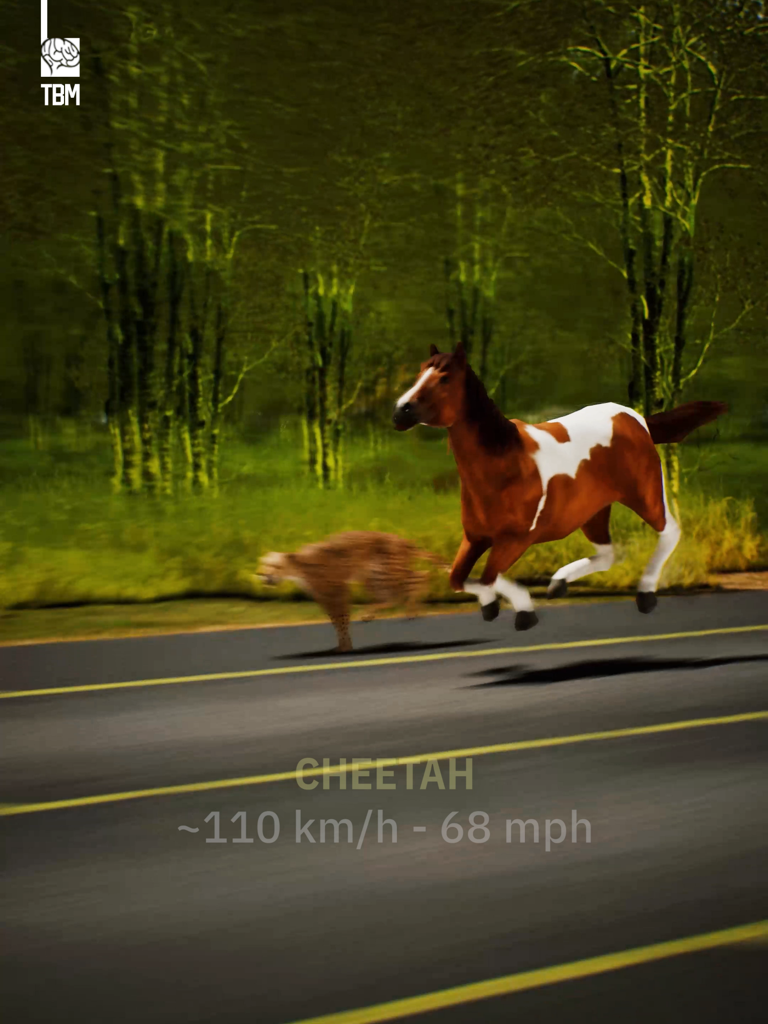 Speed Comparison: Humans vs Animals - We created this animation showing humans racing against some of the fastest animals on Earth. Who really holds the speed crown? Can human limits match nature’s incredible powers?#fypシ゚ #fypシ゚viral🖤tiktok #foryou #foryoupage❤️❤️ #viral #viraltiktok #viralvideos #animals #human #race
