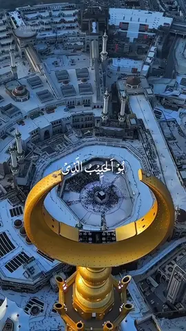 Sayed Ul konaian. . . . . #creatorsearchinsights #qalbibeats #foryou #viralvideos #prophetmuhammad 