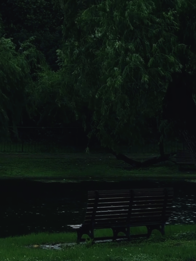 Đôi khi, điều ta cần không phải là cố gắng hơn, mà là dừng lại để thở, để lắng nghe tiếng lòng mình. Hãy cho bản thân thời gian chữa lành, bởi mọi vết thương rồi cũng sẽ hóa bình yên nếu ta đủ nhẹ nhàng với chính mình. #chonbinhyen #binhyen #thiennhien #tramlang #thugian 