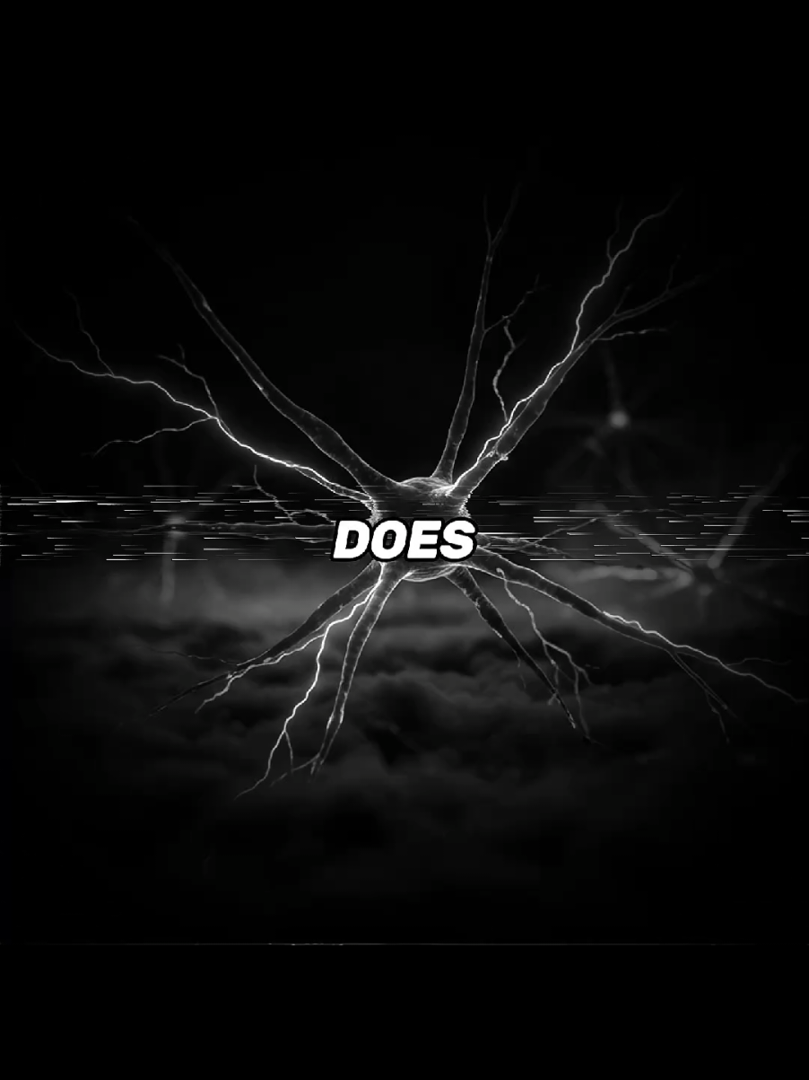 Testosterone doesn’t just make you stronger — it rewires your mind. #testosterone #darkpsychology #psychology #brainscience #neuroscience 