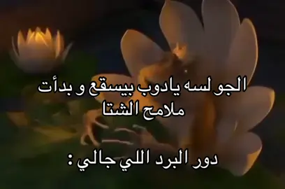 #foryou #foryoupage #الشعب_الصيني_ماله_حل😂😂 #fyp #tiktok 