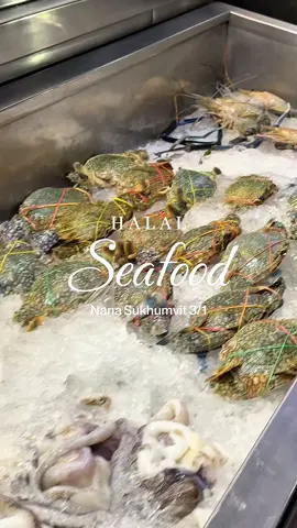 Fresh Halal Seafood • Live Fish • Authentic Taste since 1996 🦐🦀 Visit us at Al-Hussain Restaurant, Nana Sukhumvit 3/1 #alhussainrestaurant #halalfood #ฮาลาล #bangkok #sukhumvit 