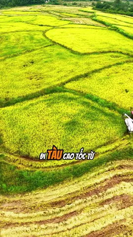 Dì Lan và cháu gái đi tàu cao tốc để đi du lịch #baihocthanhcong #cauchuyencuocsong #baihoccuocsong #tuduynguoc #xuhuong 