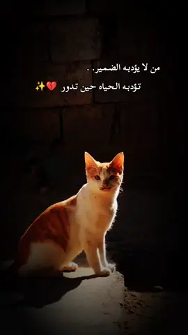 #عبارتكم #😔🥀💔 