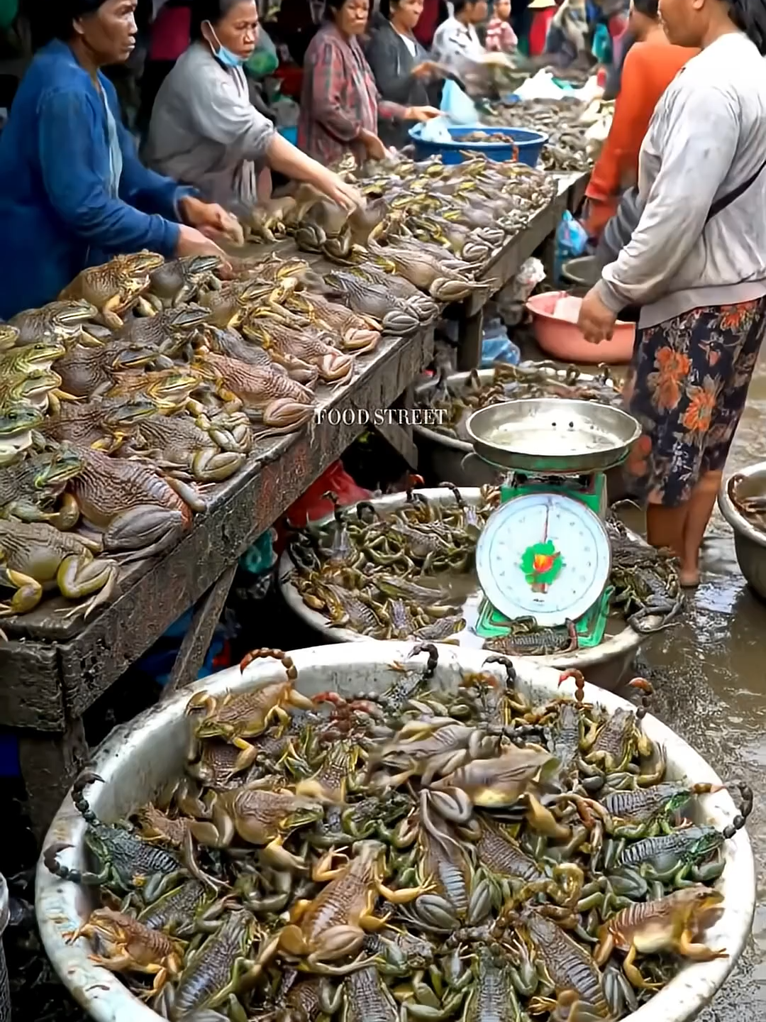 Traditional Asian Market Selling Giant Frogs and Scorpions.@muhibbudinfood-ai