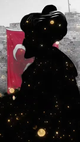 #fatihsultanmehmet #fatihsultanmehmethan #ayyıldız #türkiyem #🇹🇷🇹🇷🇹🇷 