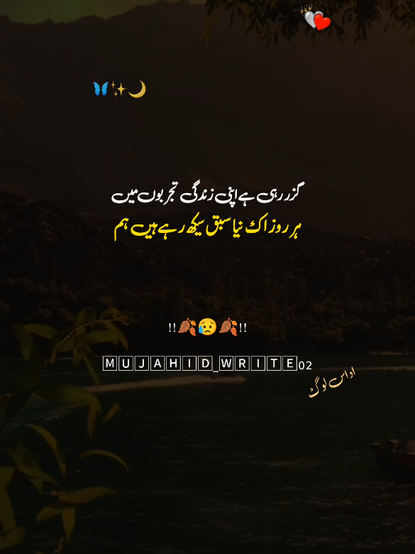 #viewsproblem #deartiktokplzgrowmyacount #urdupotry #sadsongvirl 