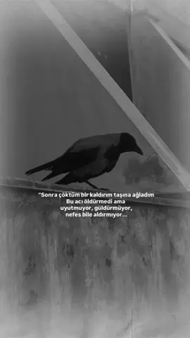 #keşfetteyizzz 