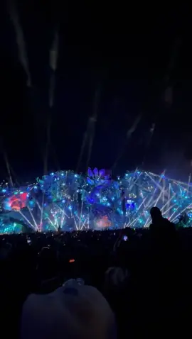 Momentos mágicos merecem ser compartilhados! #tomorrowland #tomorrowlandbrasil2025 #tomorrowlandbrasil #alok #magico 