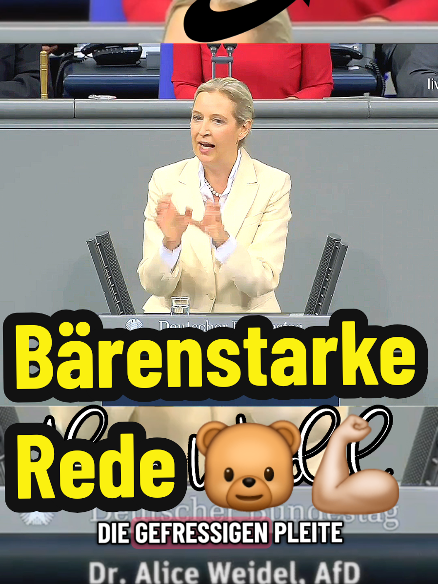 #aliceweidel #afd #bundestag 