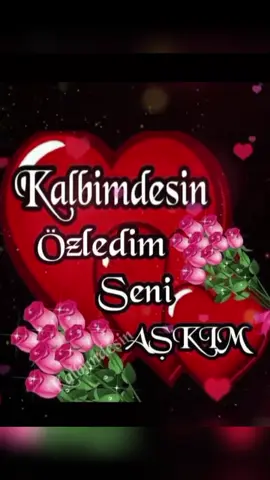 Aşkım Bitanem Bizim Beraber Çok Güzel Düşlerimiz Var Sadece Seni İstiyorum Sevdiğim Kalplerimiz Birbirimiz İçin Çarpıyor Son Nefesime Kadar Seni Çok Seveceğim Sevdiğim Seni Seviyorum Bitanem Benim😘😘😘😘😘😘😘😘😘😘😘😘😘 😘😘😘😘