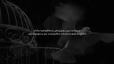 بۆ پەروەردگار…💔🙌🏻🥹#الهم_صلي_على_محمد_وأل_محمد #foryoupage #fypage #foryoupageofficiall #foryouu 