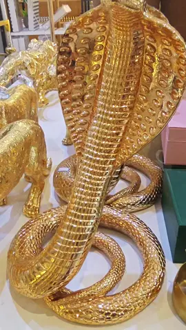 #بەکێ ئەکات😂؟#عەیبە_کەس_تاک_مەکەن😂 #kirkuk_slimane_hawler_daquq 