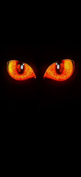 #eyes #amoled #usa #livewallpaper #livewallpaper4k #4kUltra #4klivewallpaper #livewallpaper8K #wallpaper #wallpaperanimado #wallpapers #5dlivewallpaper #zhivyye_oboi #خلفيةحية #動態壁紙 #wallpaperhidup4k #壁紙4k 