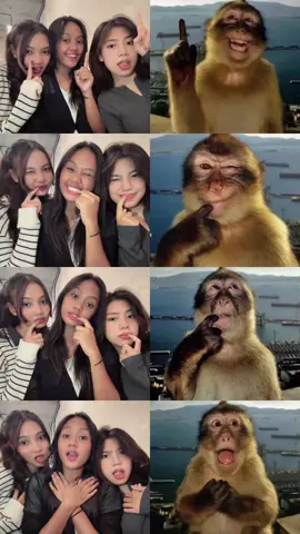 #CapCut #efekmonyet #dump #fyp 