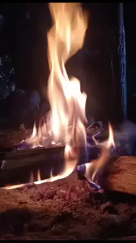 mlm ini kita menghangatkan tubuh dengan membakar kayu d dlm Honai#puncakjayapapua🇮🇩 #papuapegunungan🏔 #berkaryabisadimanasaja 