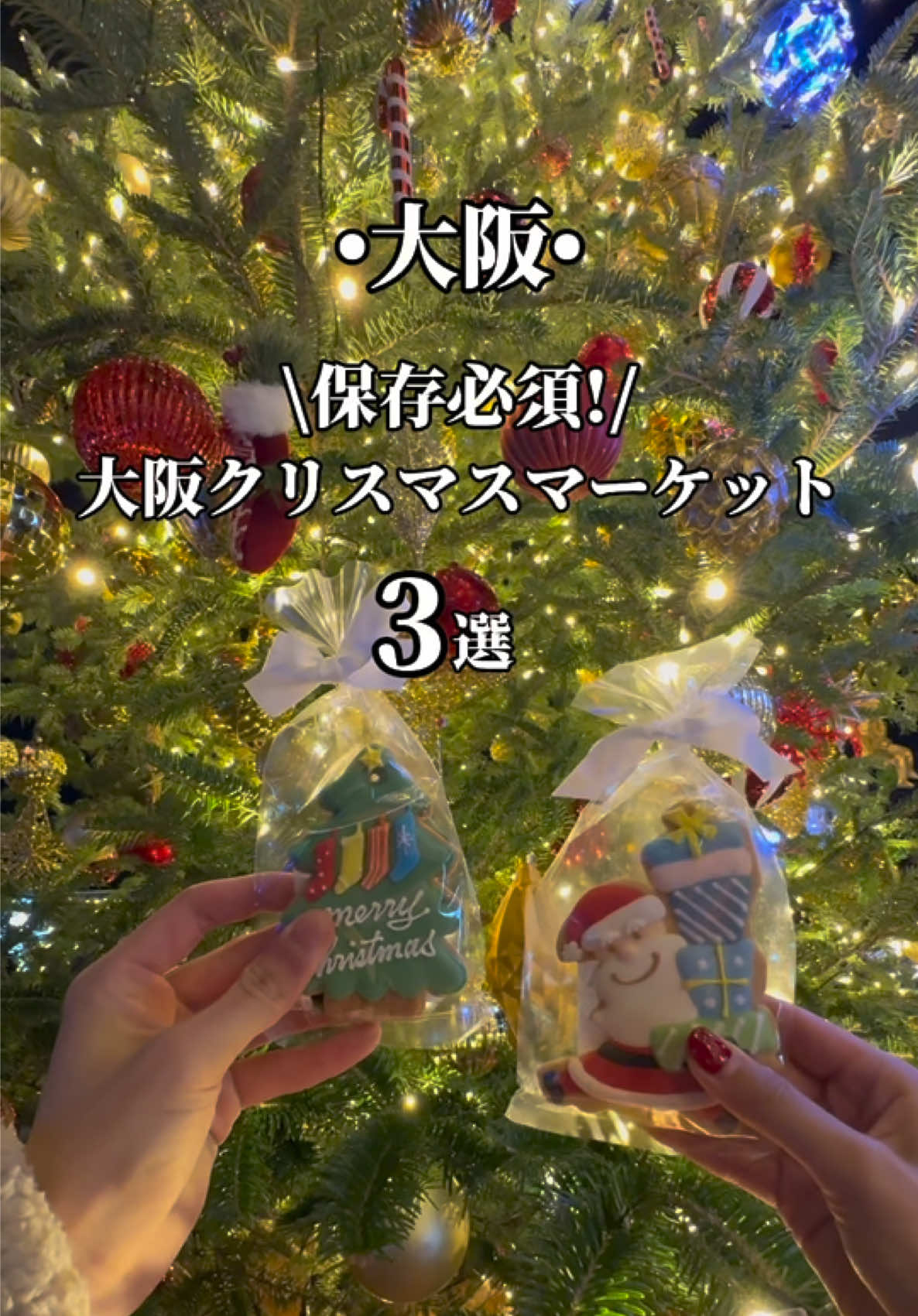 🎄保存必須🎅 大阪クリスマスマーケット2025 ①てんしばクリスマスマーケット 📍天王寺公園 💰無料 🗓️11/28~12/25 🚃天王寺駅 ②梅田スカイビルクリスマスマーケット 📍梅田スカイビル 💰無料 🗓️11/14~12/25 🚃JR大阪駅 ③ OSAKA 光のルネサンス 📍中之島エリア 🗓️12/14~12/25 💰無料 🚃淀屋橋駅 ーーーーーーーーーーーーーーーーー ご視聴いただきありがとうございます👫 ゆいたす(@travel.yuitasu)です☺️ 国内•海外35ヵ国旅した20代カップル 2人が関西を中心に実際に訪れた 映えるスポットを中心に発信しています😊 投稿が良かった！行きたくなった！ 参考になったと思っていただけたら 保存とフォローよろしくお願いします😎 PRや運用代行等のご依頼はDMまで🙇🙇‍♀️ ーーーーーーーーーーーーーーーーー #大阪クリスマスマーケット  #クリスマスマーケット 