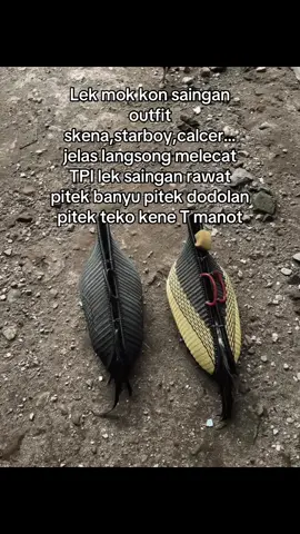 Mong botoh asor khang