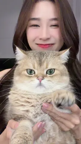 โยกนิดนึง#พอร์ชเปช่อ #แมวเต้น #สัตว์เลี้ยงtiktok #สวนสัตว์tiktok #auyaey13 