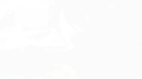 IKAW ||Pt2 #mikasaackerman #erenyeager #AttackOnTitan #foryoupage #foryoupage 