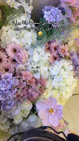 #وصيفة_العروسة #مصورة_جوال_المدينة #اكسبلورexplore #المدينه_المنوره 