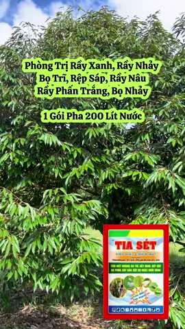Trị Rầy Xanh Rầy Nâu Rầy Phấn Trắng Rệp Sáp Bọ Trĩ Hiệu Quả Nhanh Chóng 1 Gói Pha 200 Lít #saurieng #nongnghiep #lamvuon #nongdan #xuhuong 