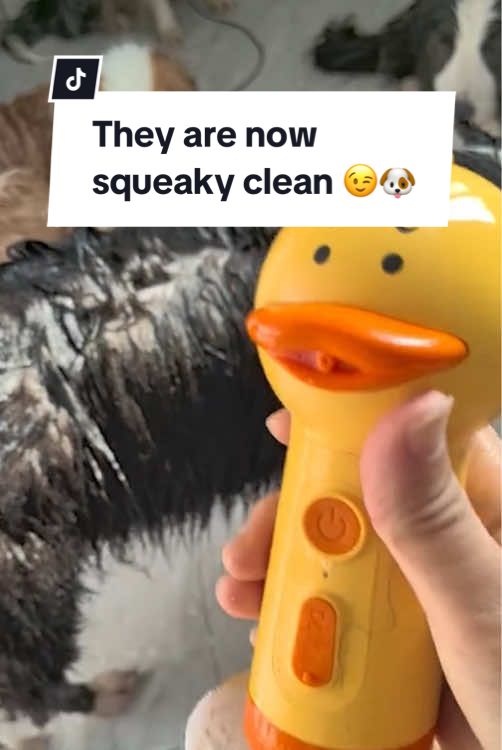 Get this Ducky Foam Machine for your 🐶 